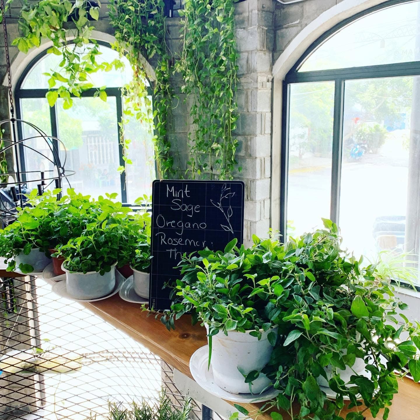 Herbs available at Bridges Danang🌿 (4 of 4)