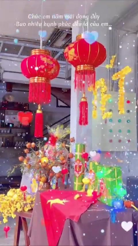 Hoa đã nở - Tết đã về