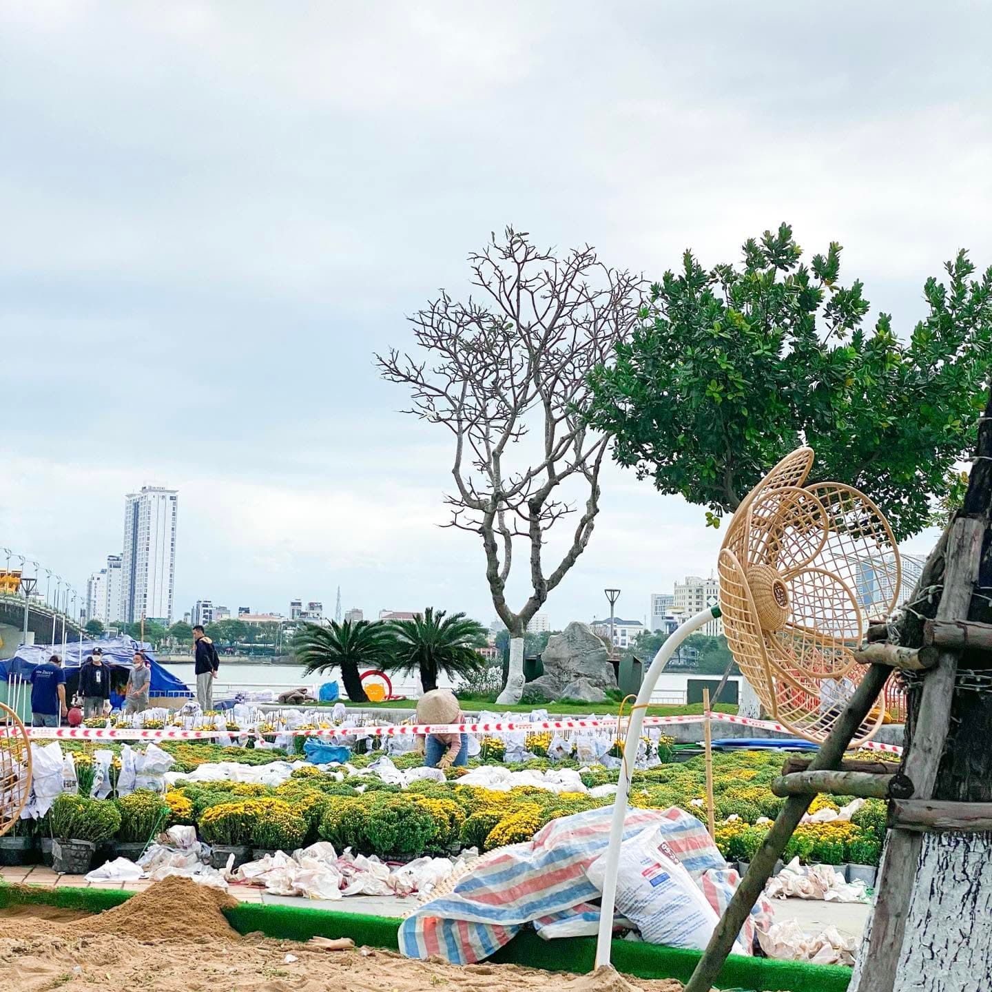 Tết Quý Mão đã cập bến tại Thành phố Đà Nẵng 🏜 (7 of 7)