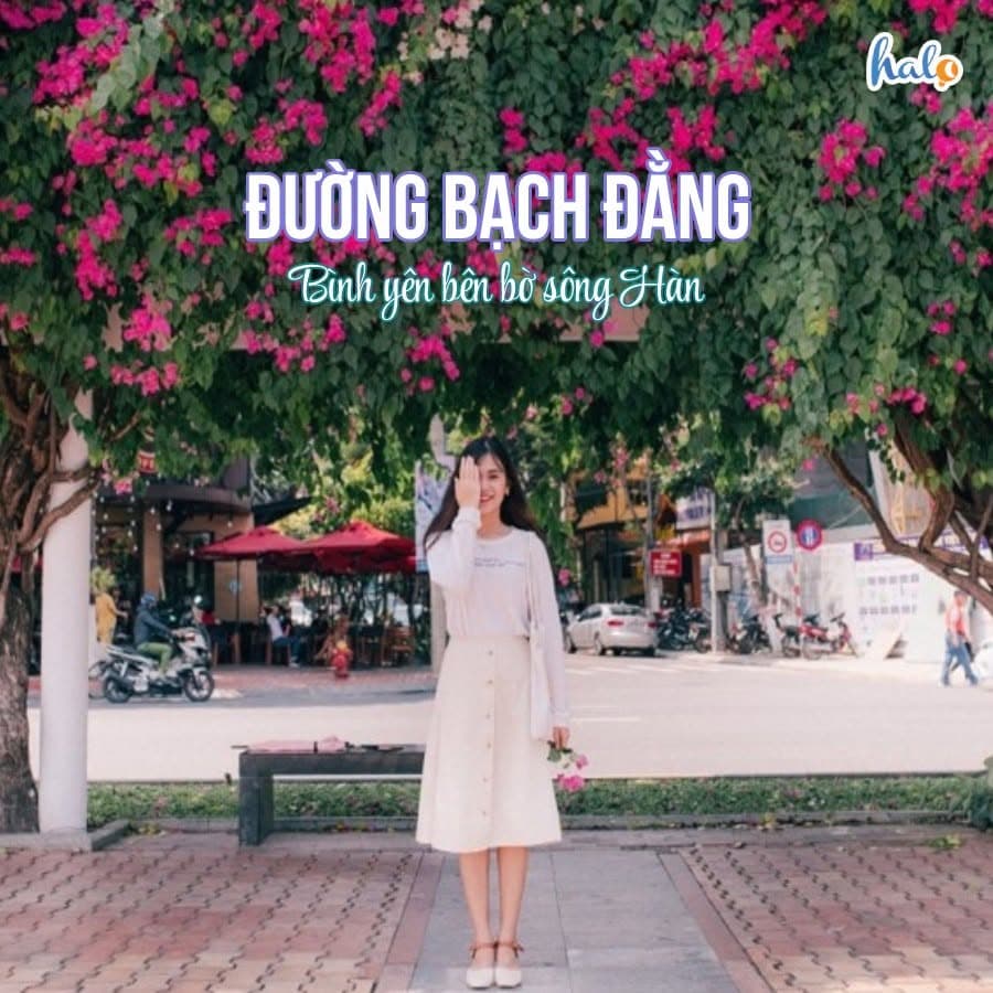 TOP NHỮNG CON ĐƯỜNG ĐẸP NHẤT ĐÀ NẴNG. (1 of 5)