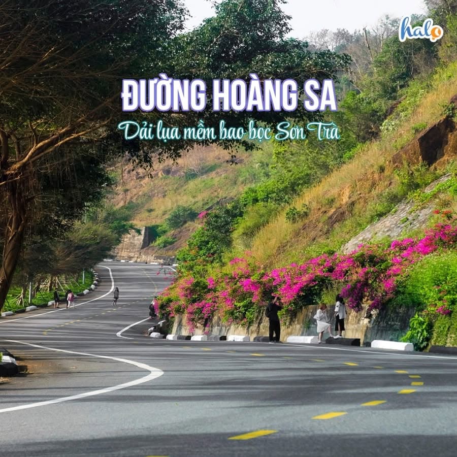 TOP NHỮNG CON ĐƯỜNG ĐẸP NHẤT ĐÀ NẴNG. (2 of 5)