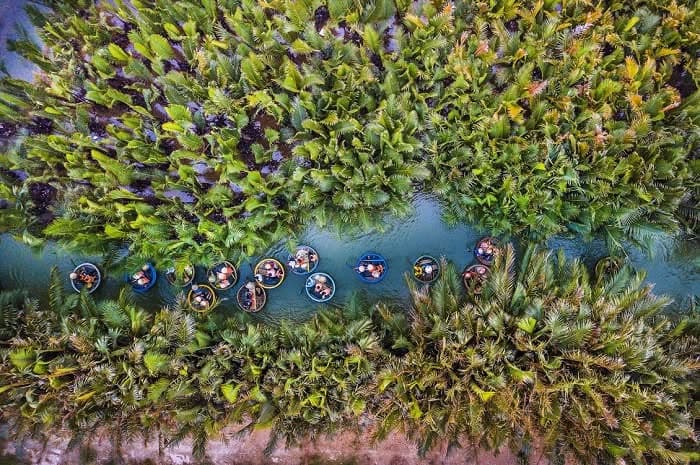 RỪNG DỪA BẢY MẪU CÓ GÌ THÚ VỊ? (5 of 5)