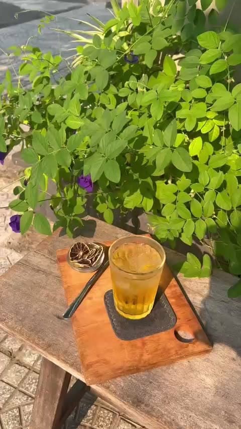 Welcome to International Tea Day at Bridges Danang Boutique Hotel <3