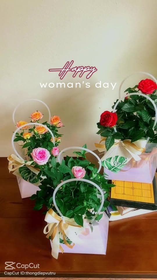 Happy Vietnamese Women’s Day!