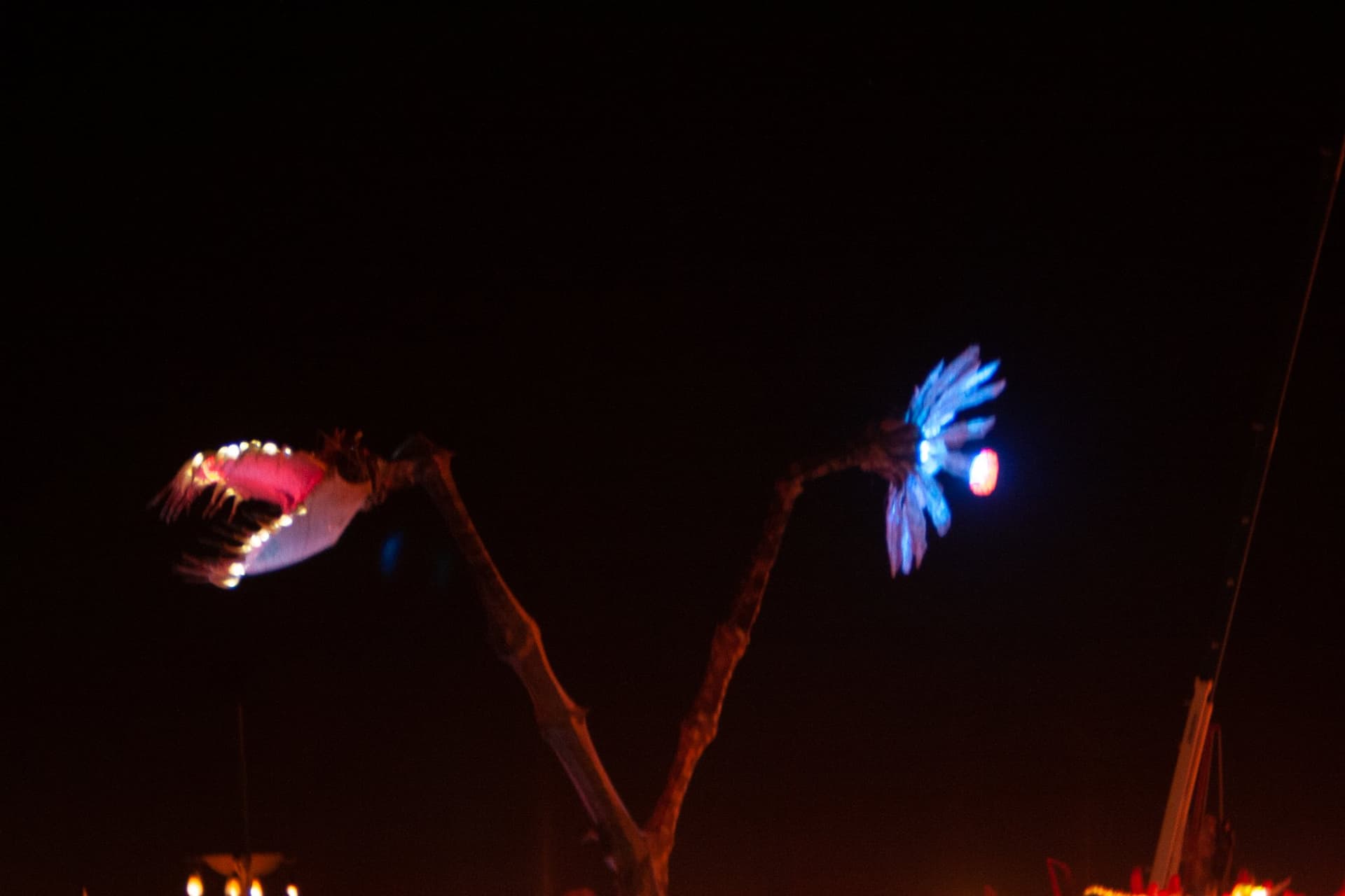 The Pavilion fire, late, 2006 · 1/60