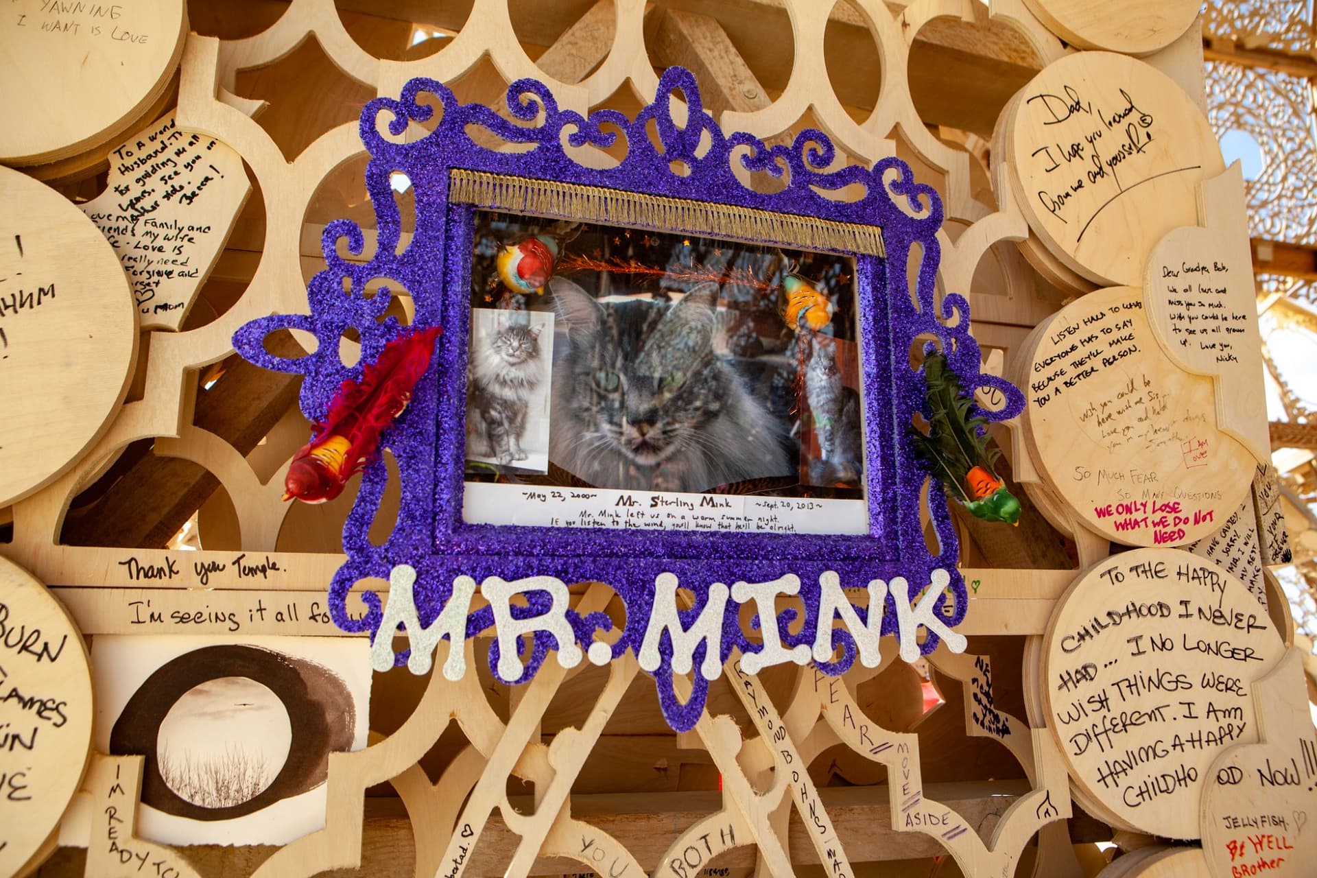 Camp and art, the last days 2014 · 15/20