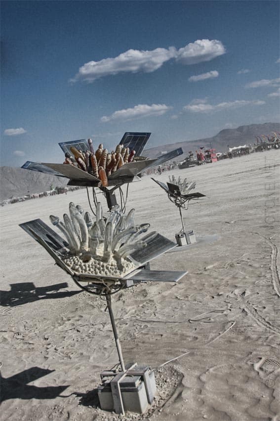 Solar-powered kinetic sculptures on open playa