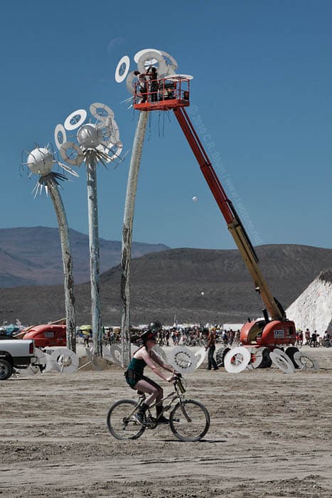 Steel Dandelion Sculptures Under Blue Sky