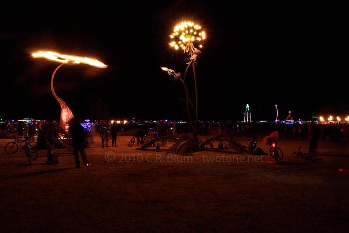 Fire Garden Dandelion Flames