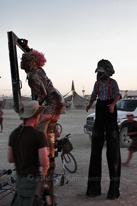 Crow-Masked Stiltwalker at Dusk