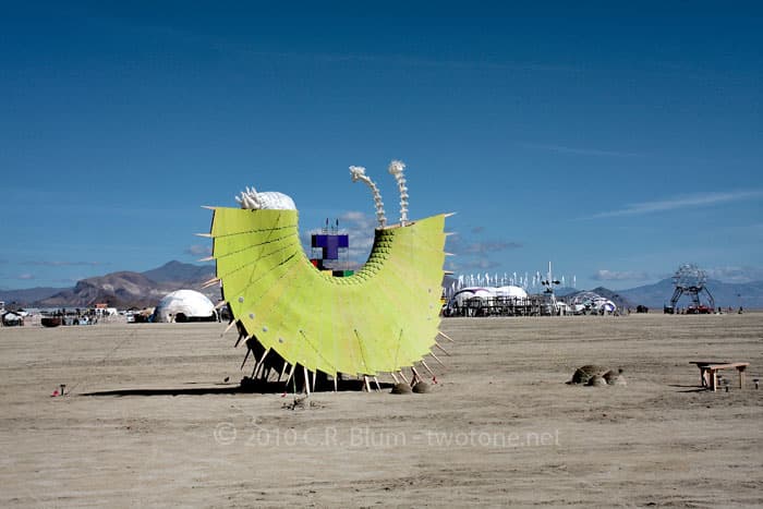 The Playa Snail Art Car