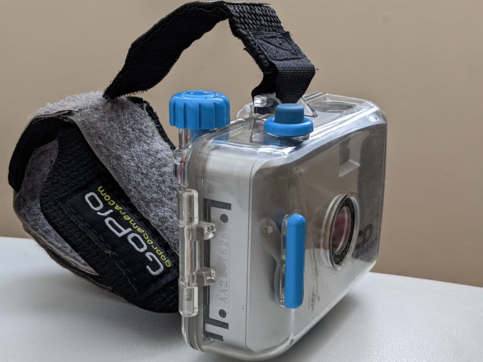 The GoPro (2010)
