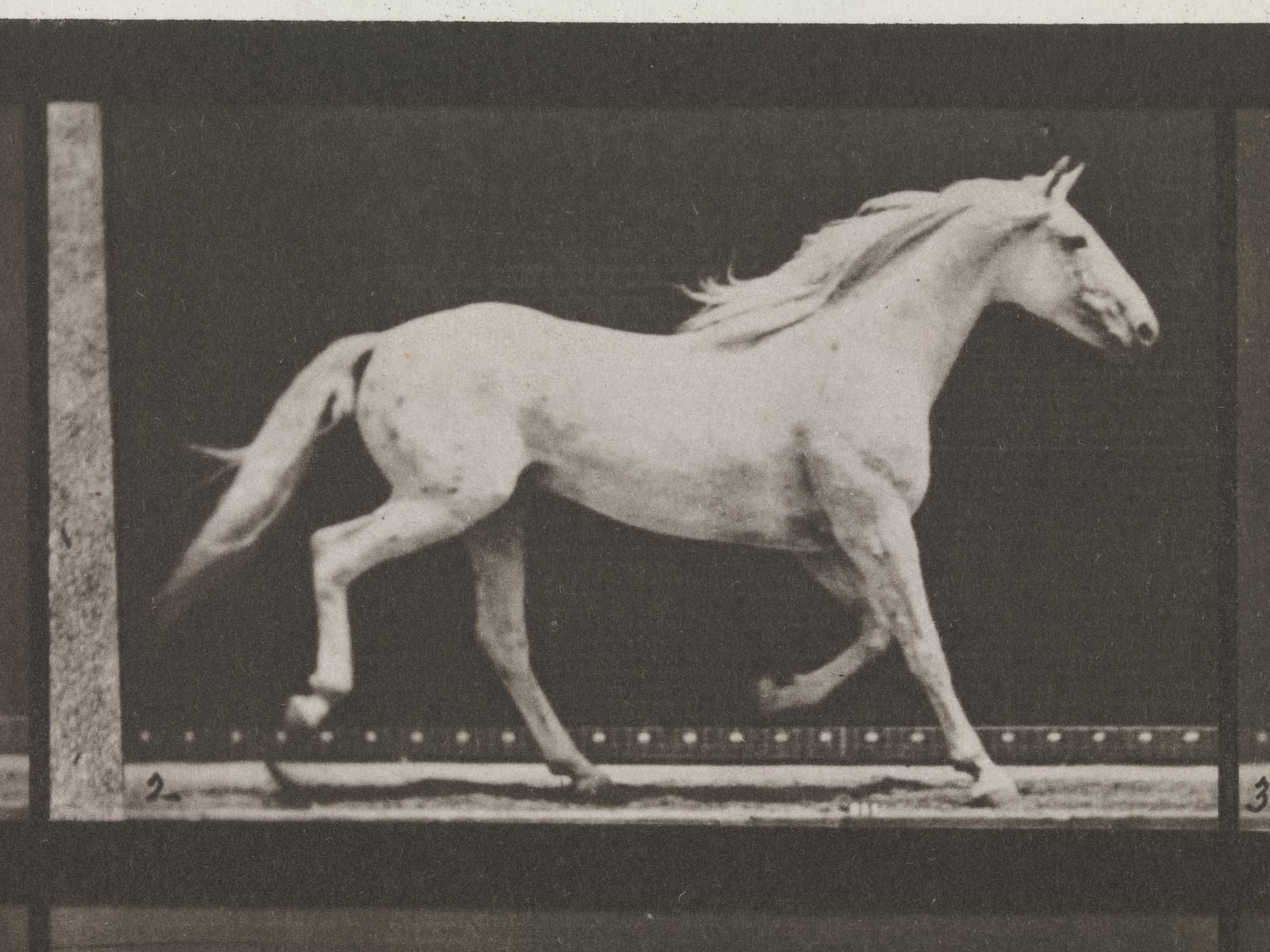 Muybridge's motion studies (1887)
