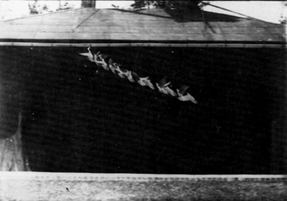 Marey's chronophotography (1882)