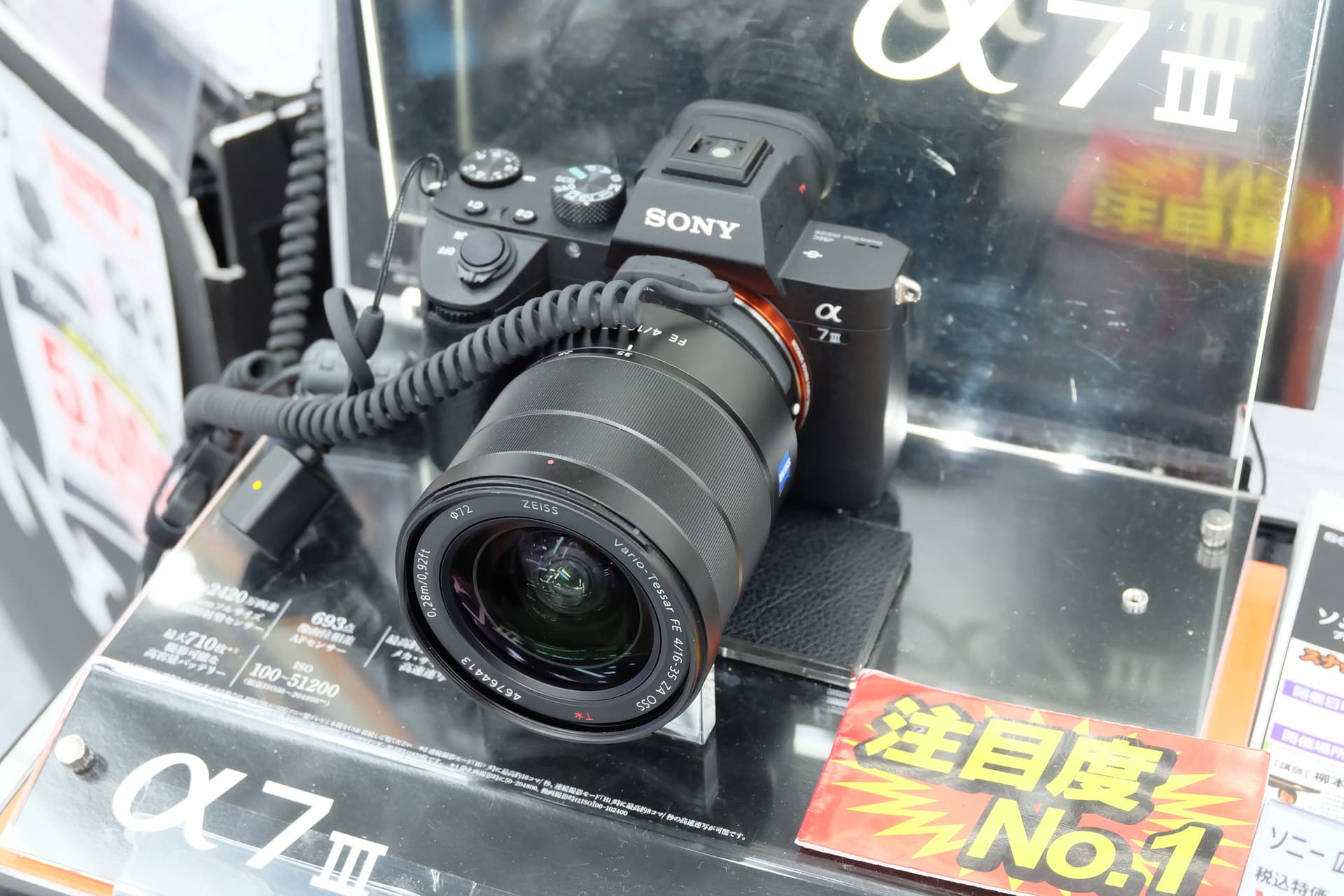 A mirrorless camera (2018)