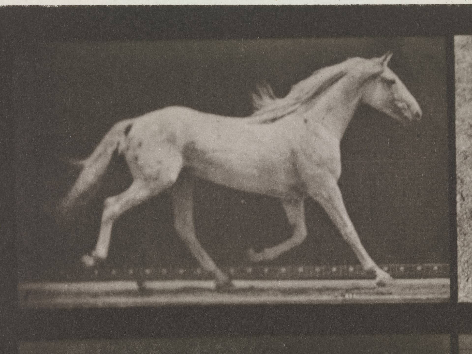 Muybridge's motion studies (1887)