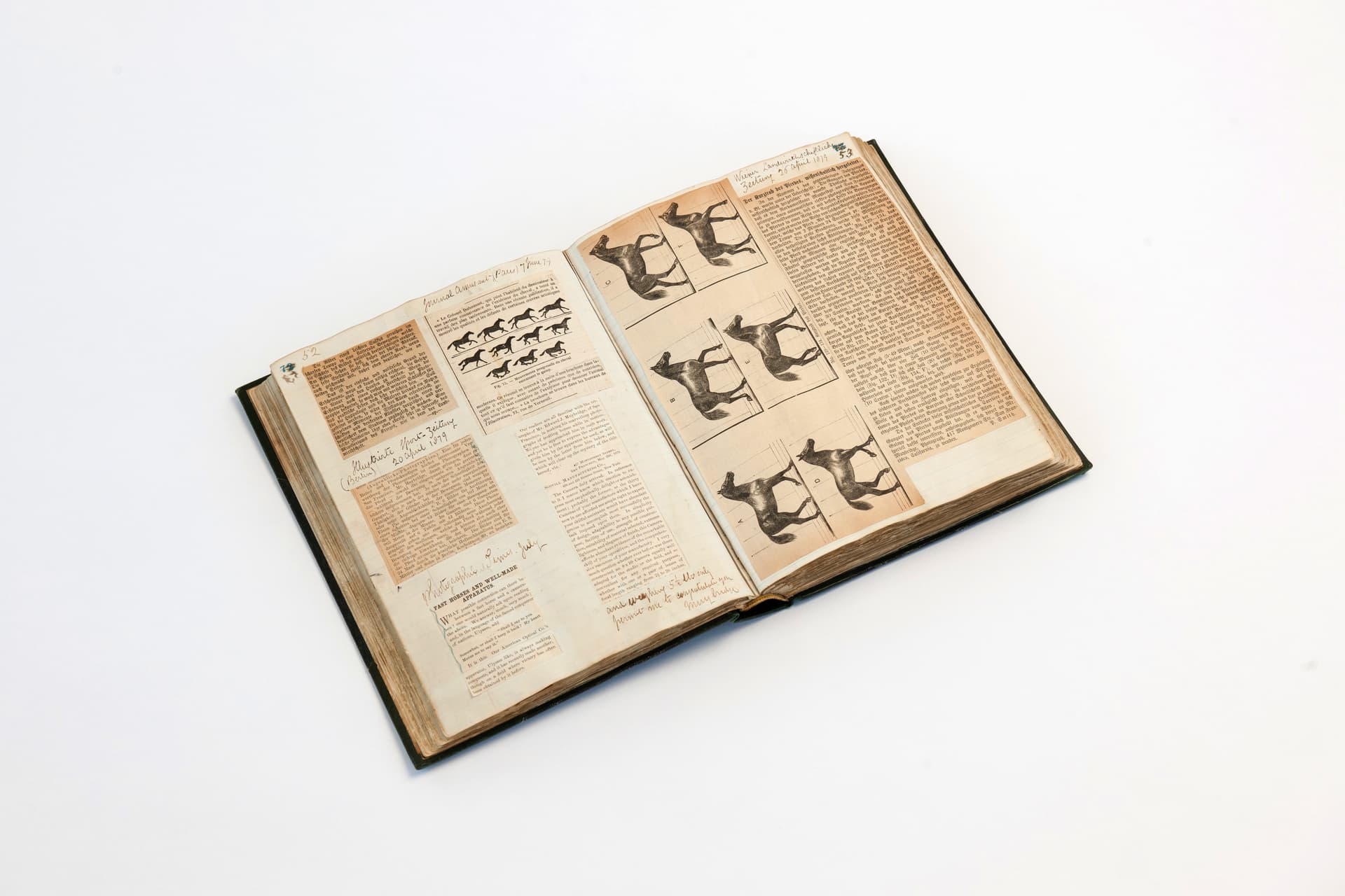 The zoopraxiscope (1879)