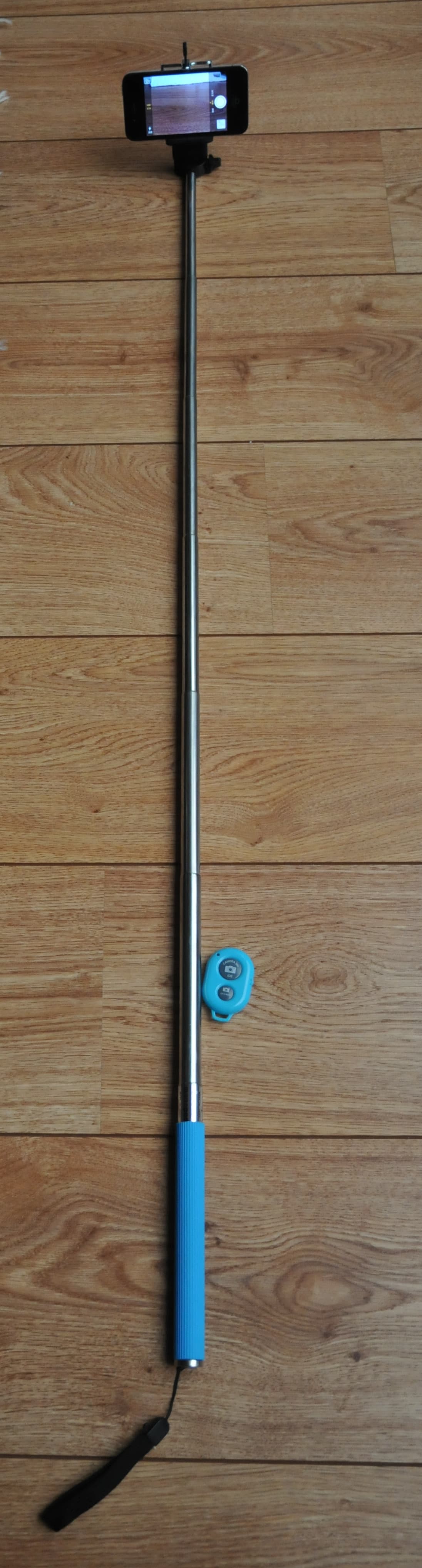 The selfie / selfie stick (2014)