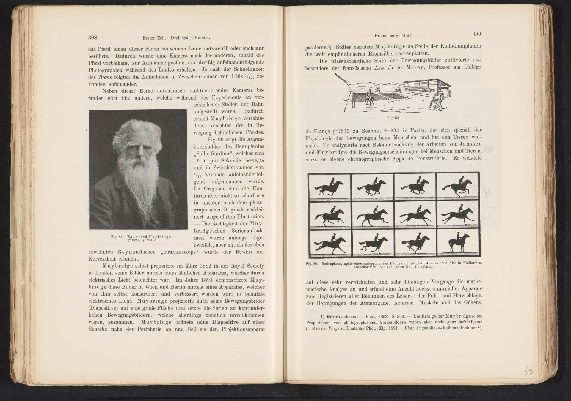 Muybridge's galloping horse (1878) (1878)