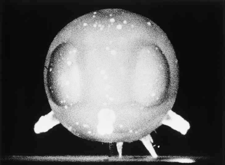 Edgerton's high-speed photos (1957)