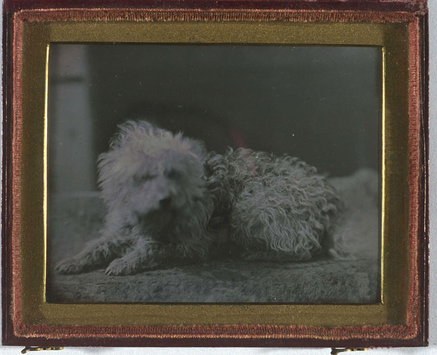 Early daguerreotype portrait (1845)
