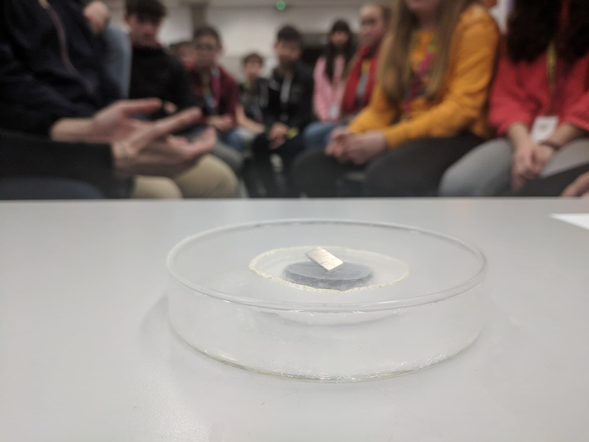 A magnet levitating above a superconductor cooled in liquid nitrogen