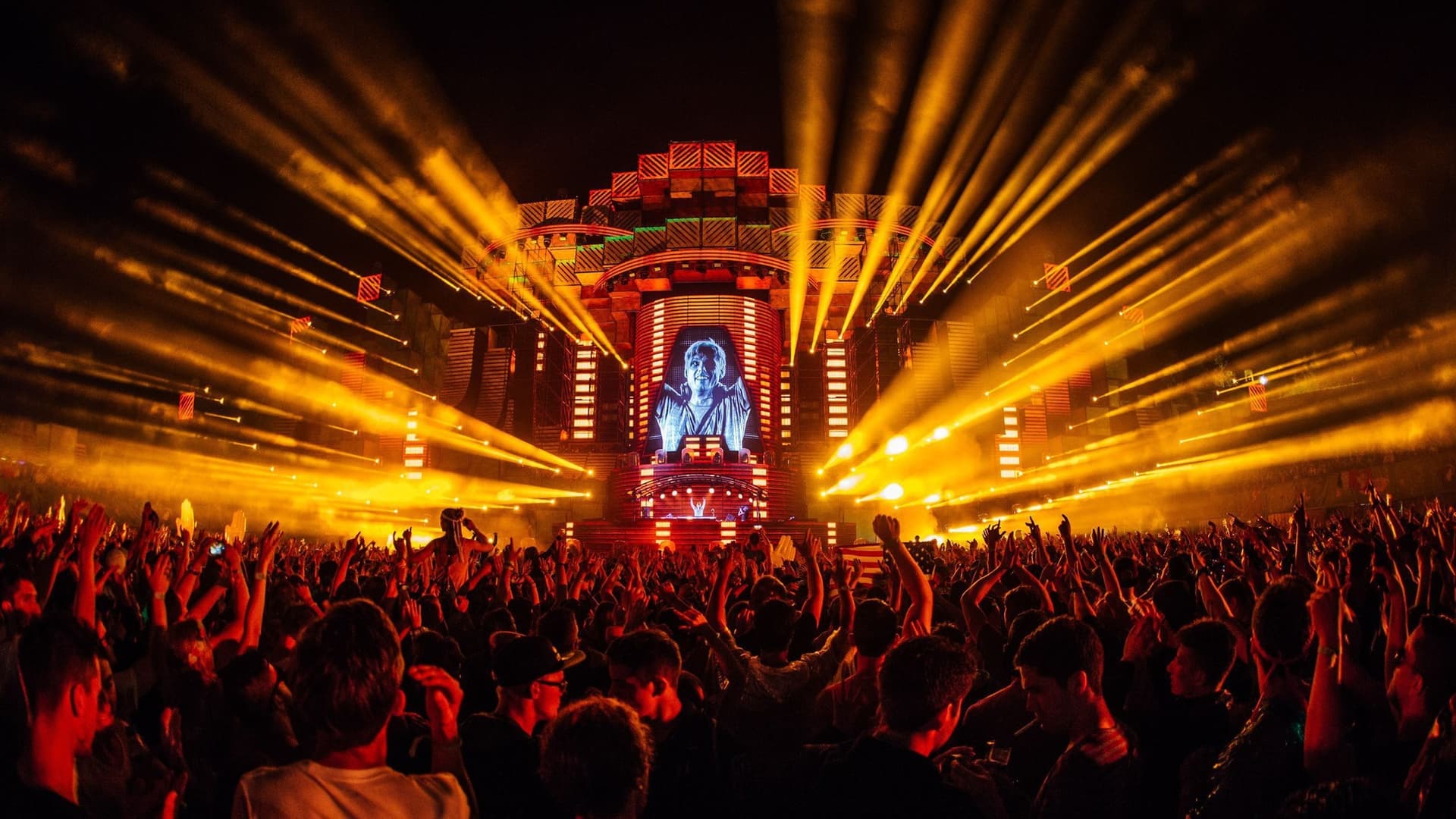 We want to go back, @arminvanbuuren!!!