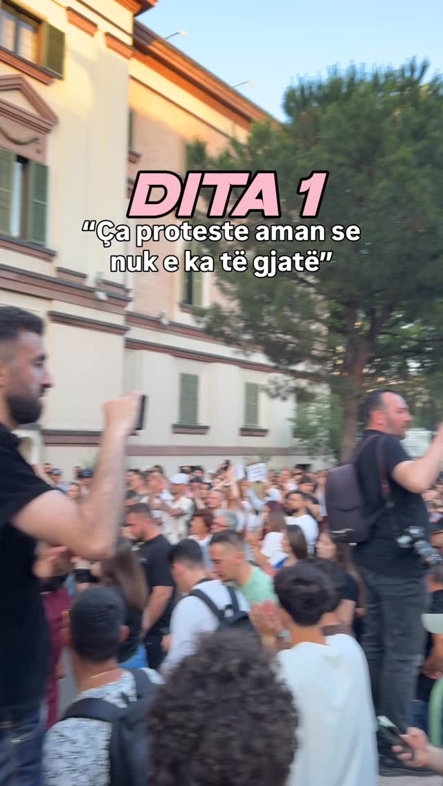 Flamingo Revolution