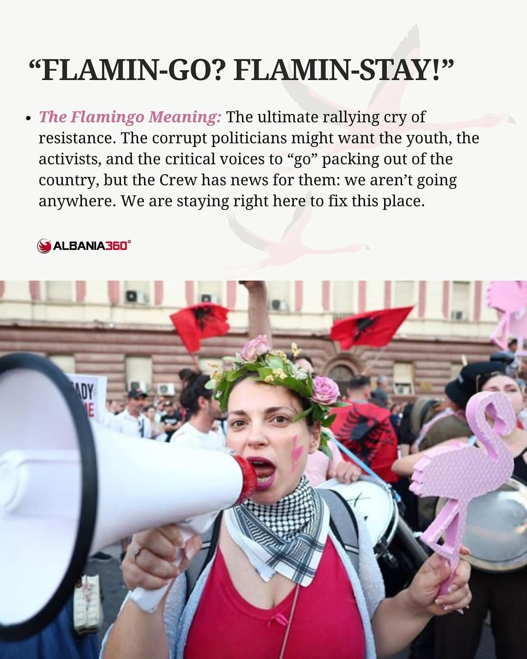 Ready to speak fluent Flamingo? 🦩 (10/13)