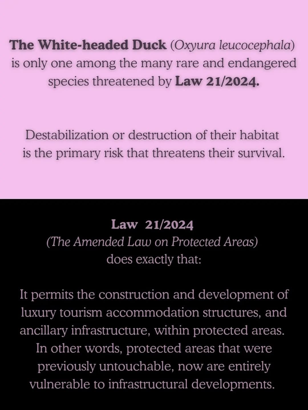 cancel / revoke / repeal Law 21/2024 (7/6)
