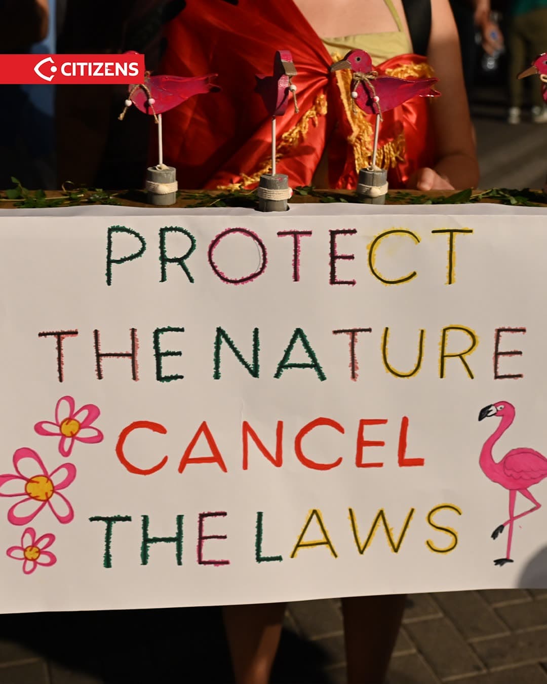 Në ditën e 77-të të protestës, diaspora iu bashkua protestuesve në bulevard,… (frame 4)