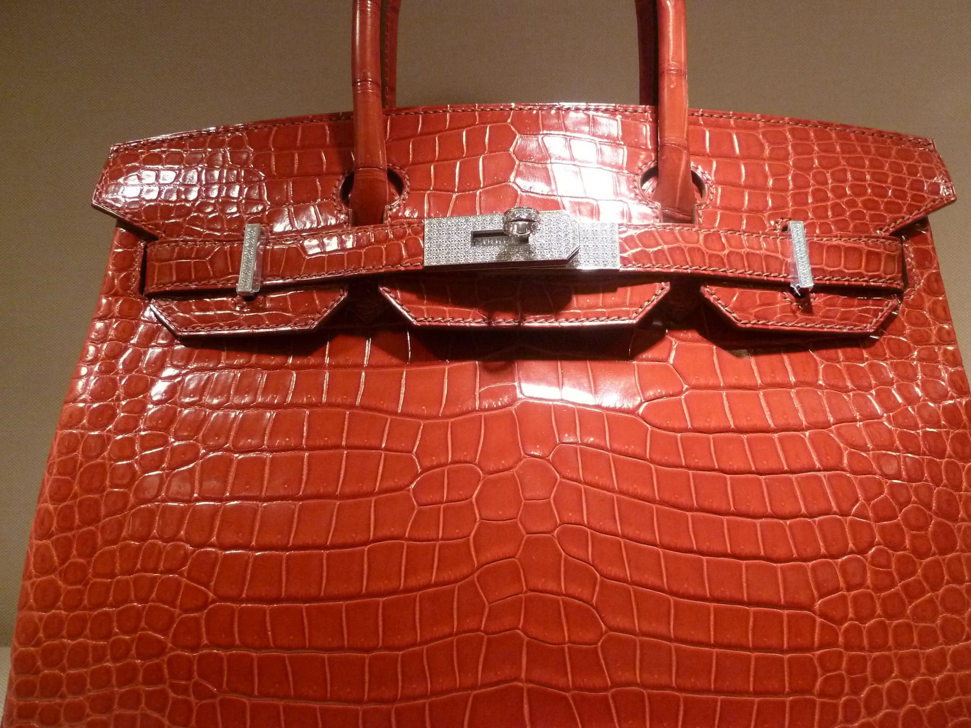 A crocodile Birkin