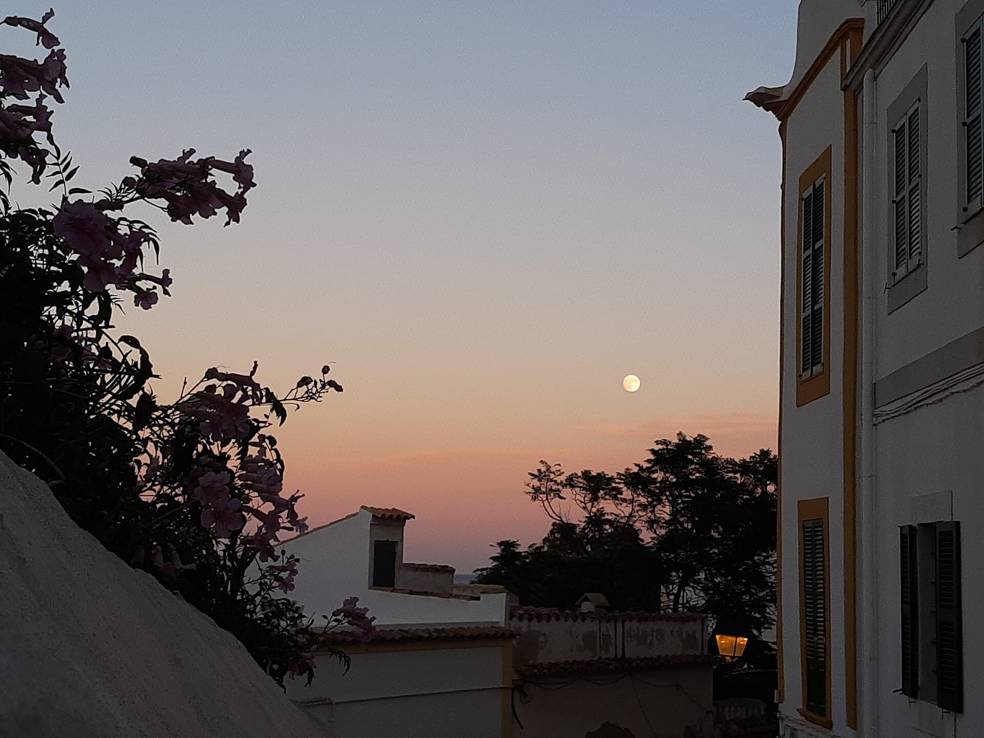 Moon over old town of Eivissa