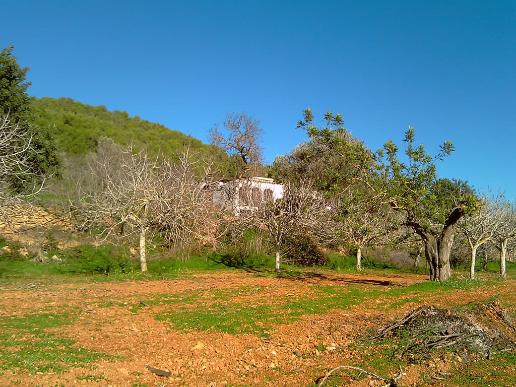 Can Joan d'en Miquel, Labritja - panoramio