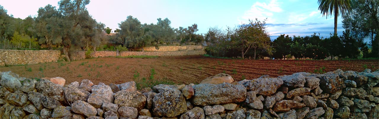 Davant la font de Balàfia - panoramio