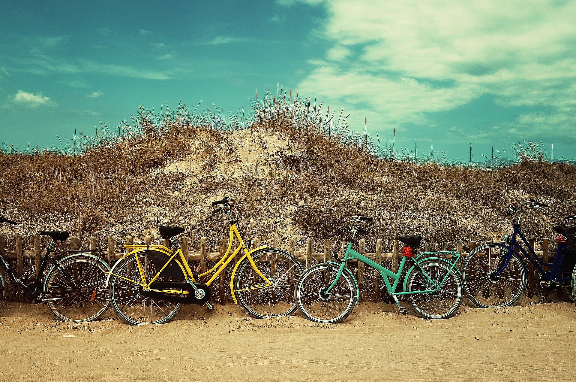 Bicycles on the beach (Unsplash)