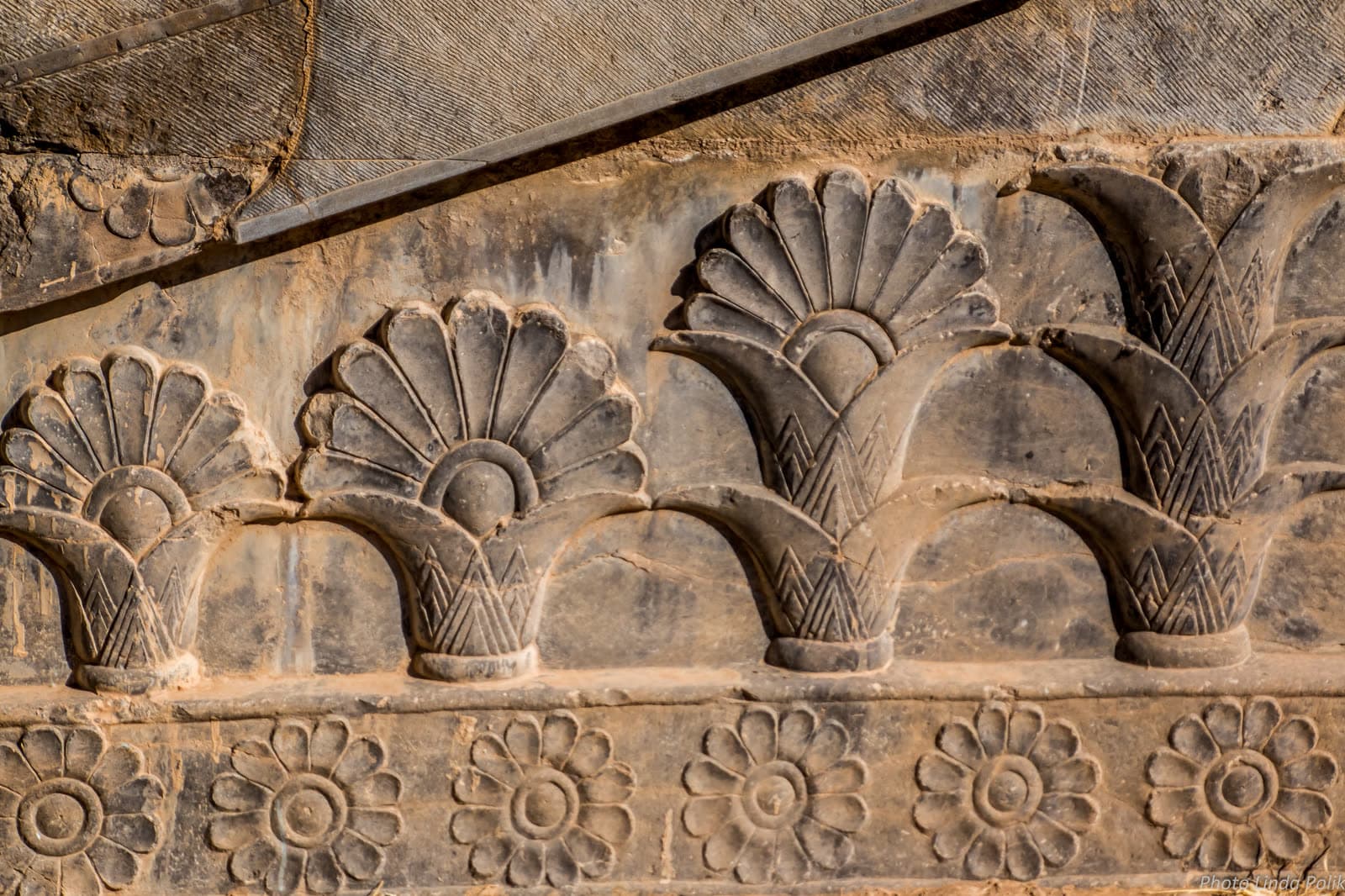 Lotus flowers in Persepolis site (2 of 2)