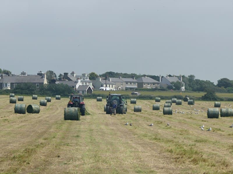 Hay baling near Ballabeg