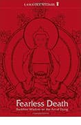 Book: "Fearless Death"