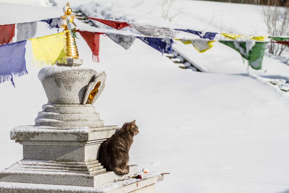 The Long Life Stupa
