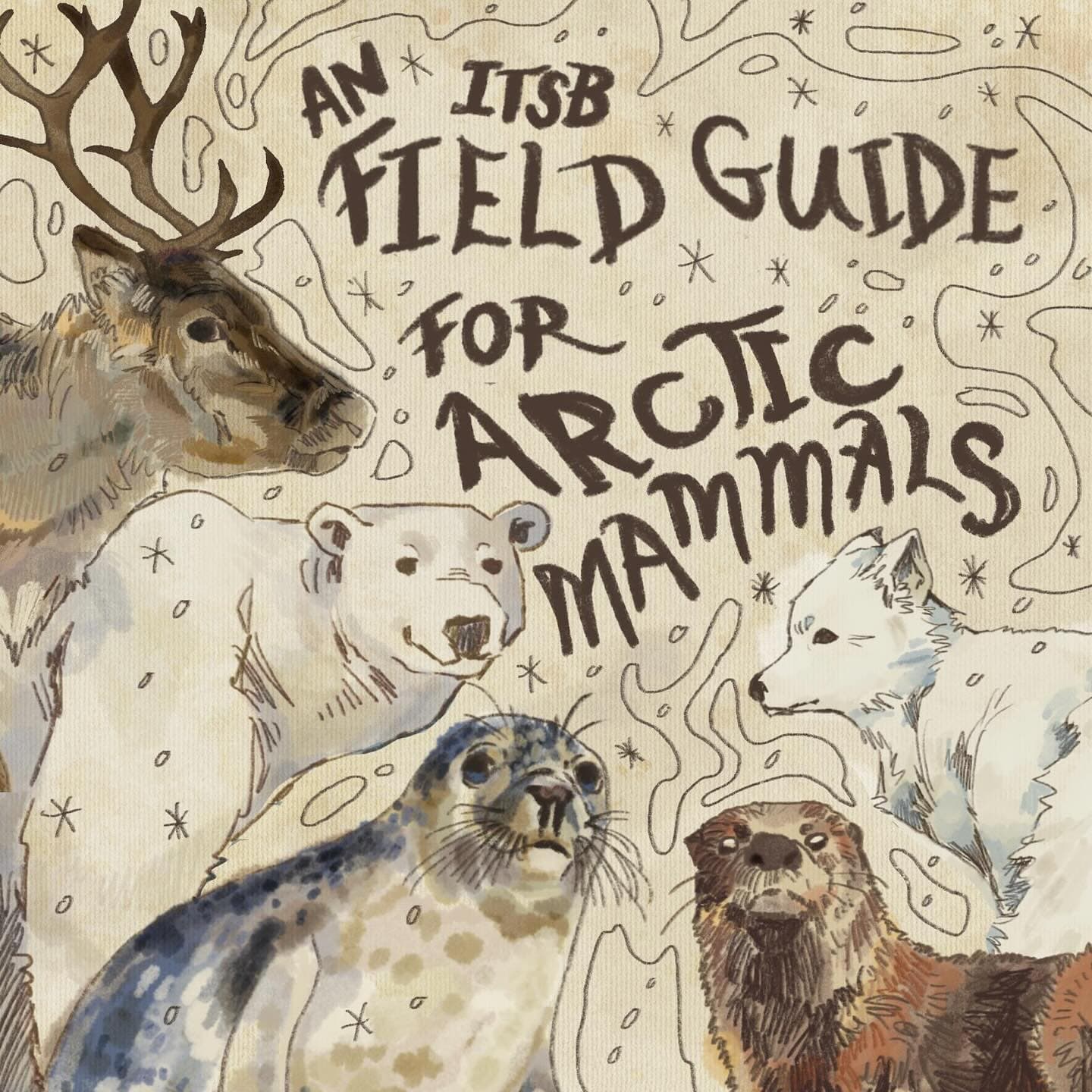 We’re back with another In The Same Boat animal guide!