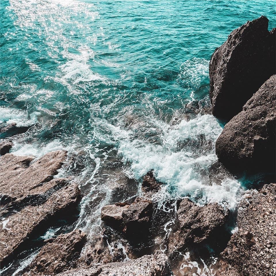 What is your holiday plan for summer 2020? (1 of 2)
