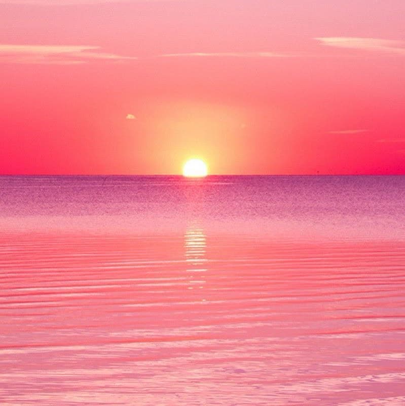 Not only is a place for unforgettable and very much forgettable memories, it is a…