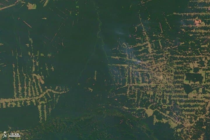 Rondônia from Orbit — 2001