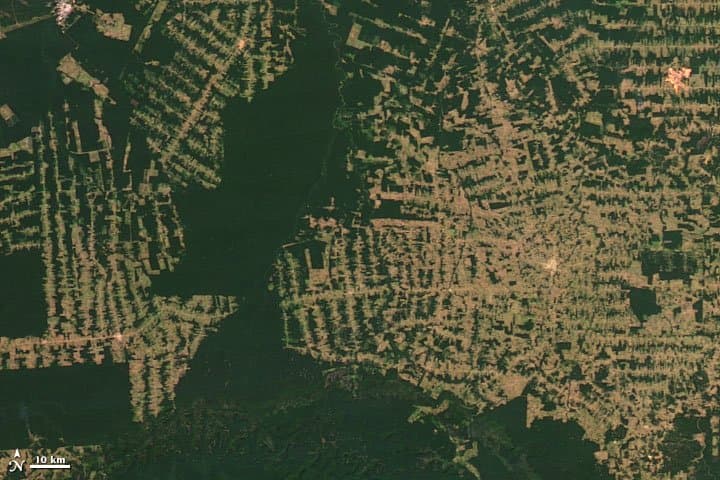 Rondônia from Orbit — 2012