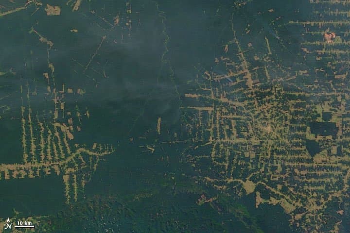 Rondônia from Orbit — 2002