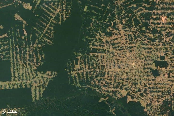 Rondônia from Orbit — 2008