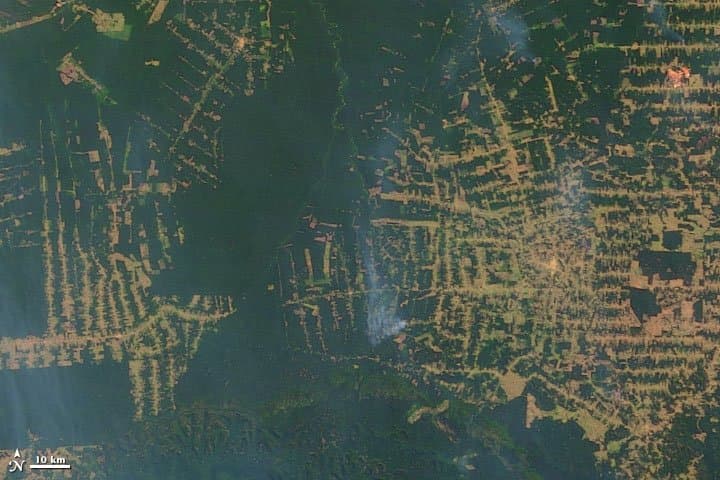 Rondônia from Orbit — 2004