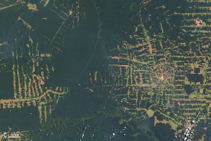Rondônia from Orbit — 2003