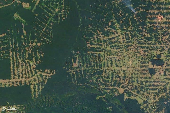 Rondônia from Orbit — 2005